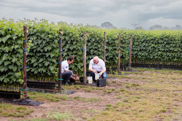 Fruitteelt en akkerbouw behandelingen